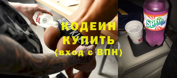 стаф Богданович