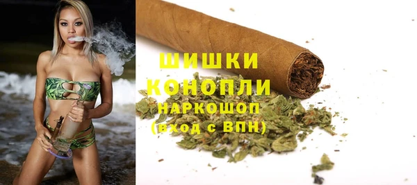 прущие грибы Богородск