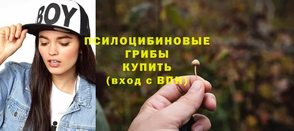 прущие грибы Богородск