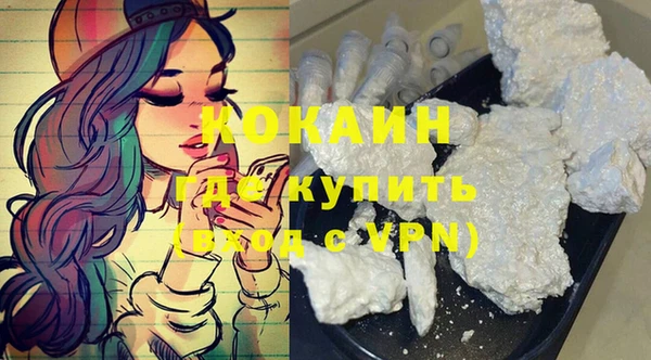 стаф Богданович