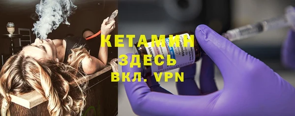 стаф Богданович