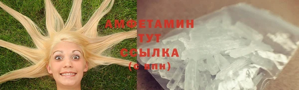 стаф Богданович