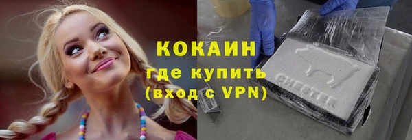 стаф Богданович
