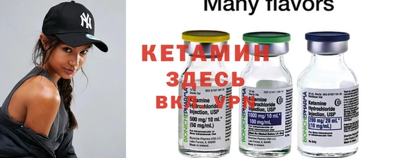 стаф Богданович