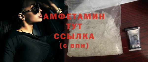 прущие грибы Богородск