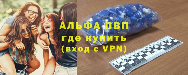 прущие грибы Богородск