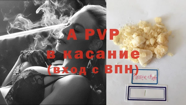 прущие грибы Богородск
